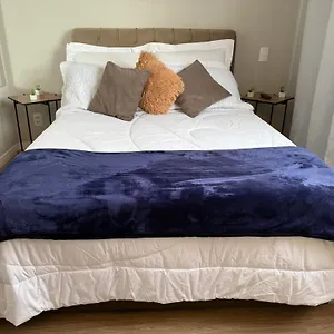  Apartamento Veneza Prox Metro Bras, Feirinha Madrugada, 25 Marco, Templo Salomao